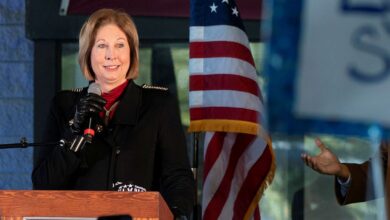 Sidney Powell Controversial Lawyer and Political Figure